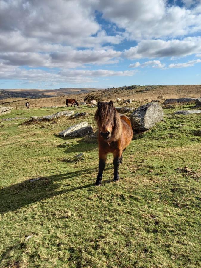 Dartmoor Inn Принстаун Екстериор снимка